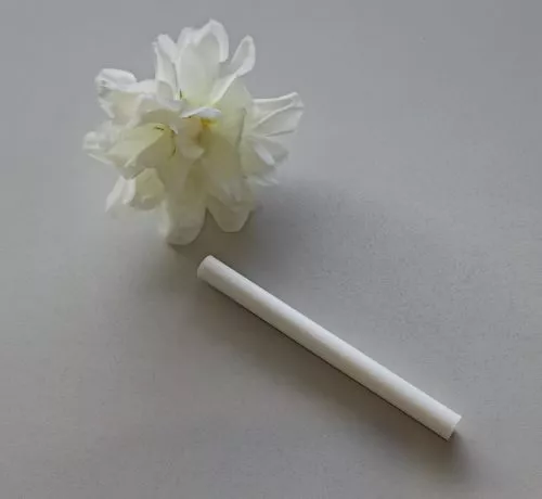 Diffuser Reed x 1